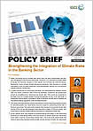 ポリシー・ブリーフ「Strengthening the Integration of Climate Risks in the Banking Sector」