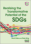 Realising the Transformative Potential of the SDGs