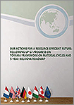 Our Actions for a Resource-efficient Future: Following up G7 Progress on Toyama Framework on Material Cycles and 5-year Bologna Roadmap