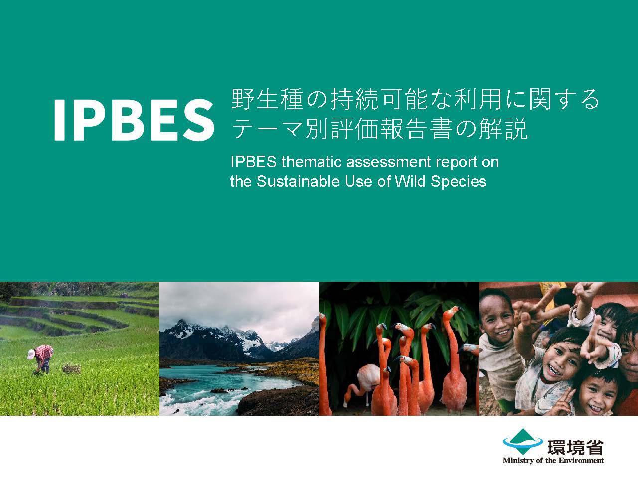 ipbes-su-spm-8pager