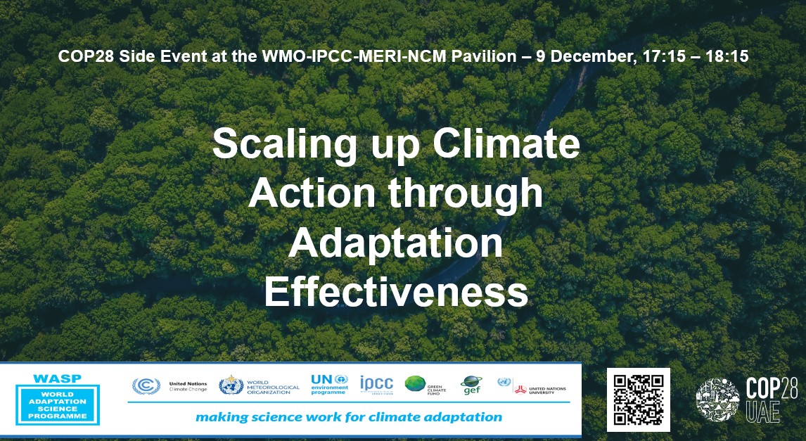 Adaptation effectiveness, COP28