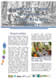 Community Carbon Accounting Action Research Project