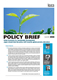 Green Economy for Sustainable Development: Japan should lead the policy shift towards global poverty alleviation