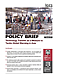 Technology Transfer as a Measure to Tackle Global Warming in Asia