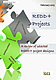 REDD+ projects: A review of selected REDD+ project designs
