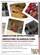 ADAPTATION EFFECTIVENESS INDICATORS FOR AGRICULTURE IN THE GANGETIC BASIN