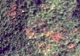 Machine learning data set for forest monitoring