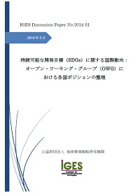 持続可能な開発目標（SDGs）に関する国際動向：オープン・ワーキング・グループ（OWG）における各国ポジションの整理