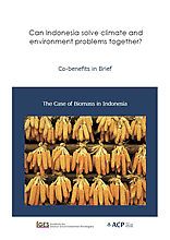 Co-benefits in Brief: The Case of Biomass in Indonesia