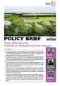 SDGs, DRR and CCA: Potential for Strengthening Inter-linkages