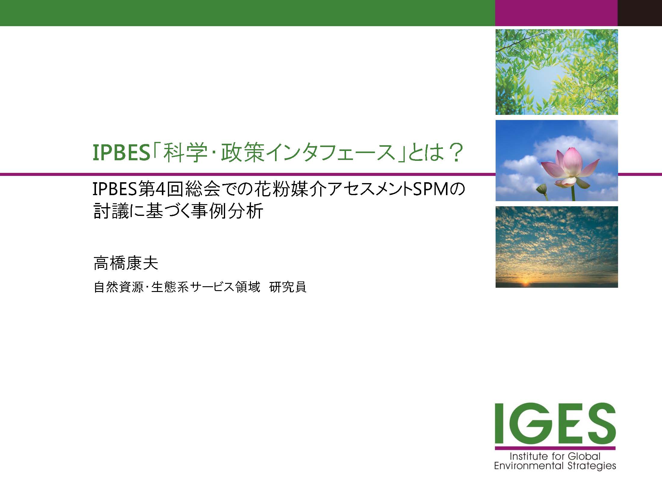 IPBES「科学・政策インタフェース」とは？ IPBES第4回総会での花粉媒介アセスメントSPMの 討議に基づく事例分析