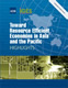 Toward Resource Efficient Economies in Asia and the Pacific: Highlights