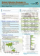 Biofuel Utilization Strategies to Promote Sustainable Development