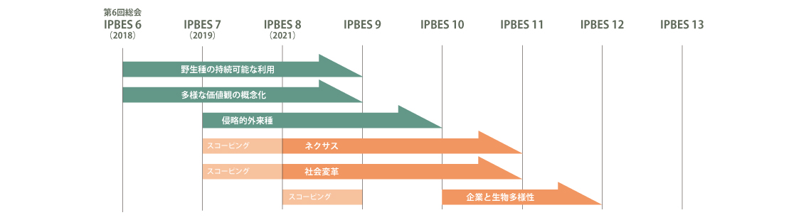 実施中及び将来のIPBES アセスメント