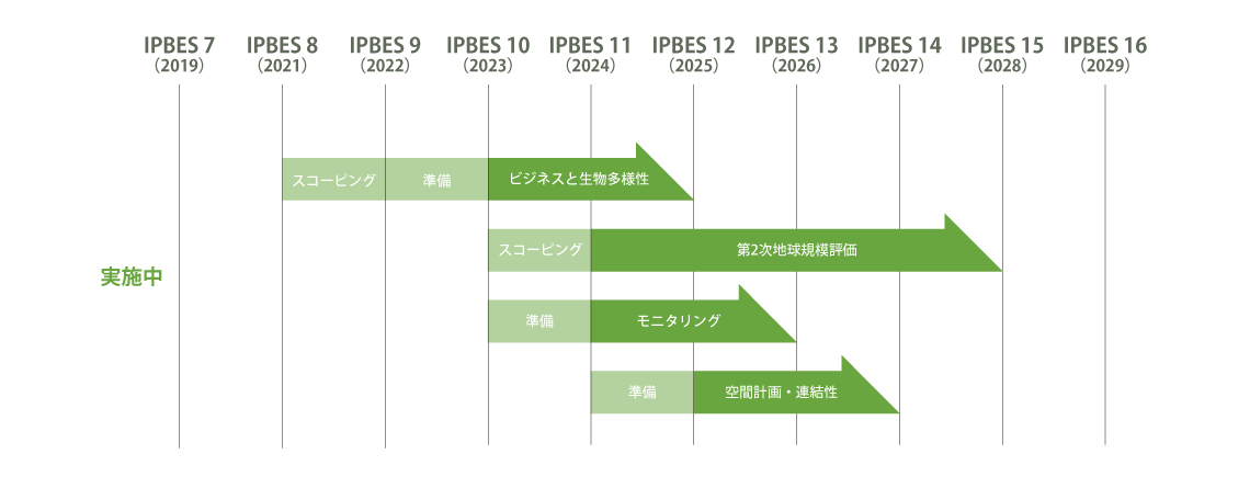 実施中及び将来のIPBES アセスメント