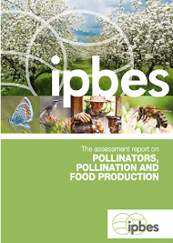 花粉媒介者、花粉媒介及び食料生産に関するテーマ別評価報告書(2016)