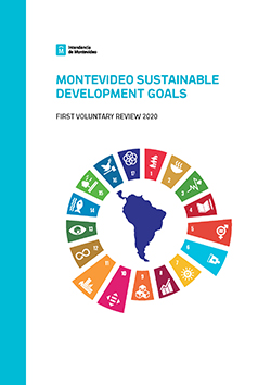 Montevideo Sustainable Development Goals: First Voluntary Review 2020