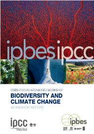 生物多様性と気候変動に関するIPBES-IPCC合同ワークショップ報告書（2021）