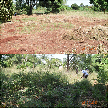 Work has begun on Vetiver Grass Nursery in Kikondo on Lake Victoria