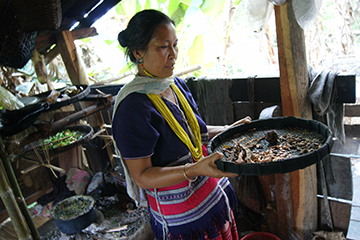 A Karen woman explaining about traditional crop varieties
