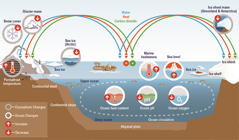 Figure 1. Elements related to the ocean and cryosphere and their changes, as well as interactions with the planetary system via heat, water, and carbon.