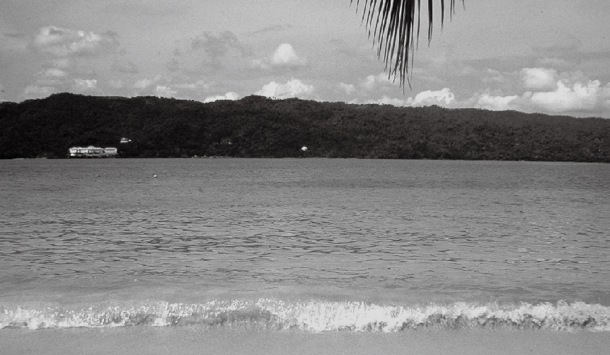 photo1