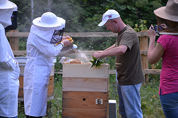 Workshop on the basics of beekeeping: Building a honeycomb foundation and hive, and processes of honey production, pollen storage, and wax building