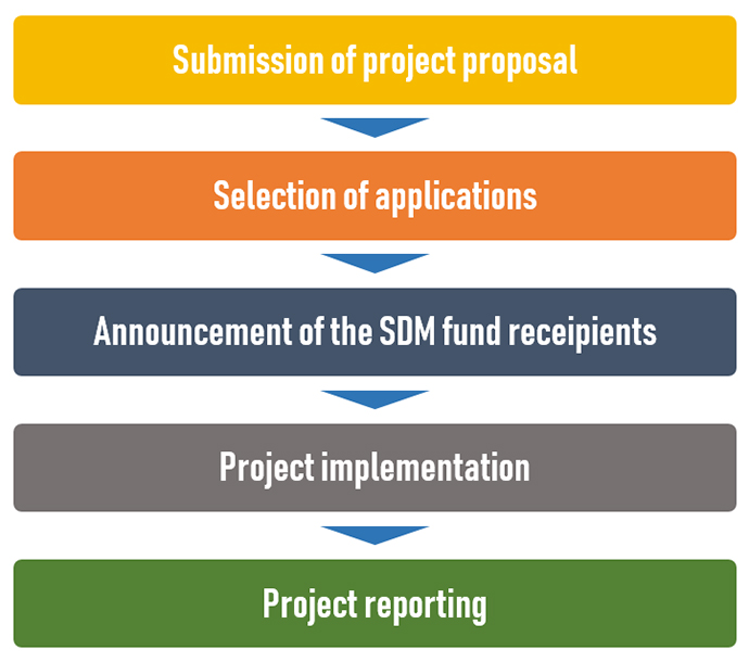 Process of the SDM project selection and implementation