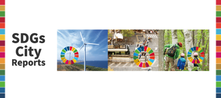 SDGs City Reports