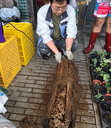 Local community member engaging in beekeeping