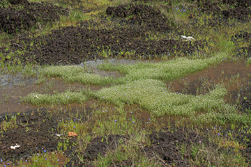 Landscape of Madayippara, a laterite hill in Northern Kerala