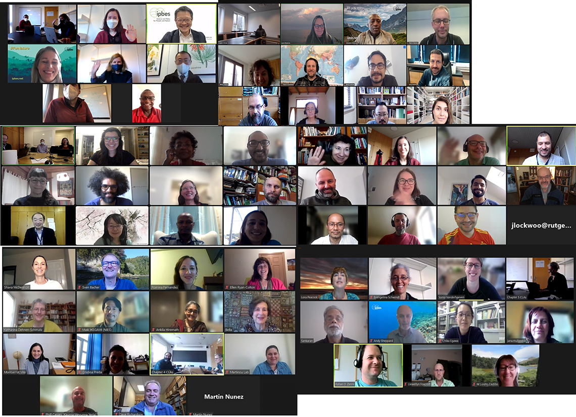 remote-participants