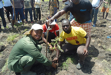 Replanting in the degraded hunting grounds