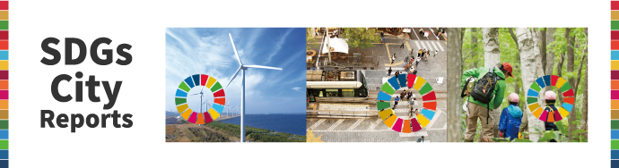 SDGs City Reports