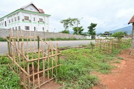 Tree planting as part of the green space improvement project by PoNRE under JAIF-supported ASEAN SDGs FC 2