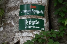 Tree labeling activity at Kep National Park