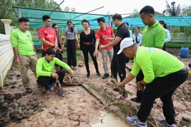Preparation of palm tree seedlings at the tree nursery