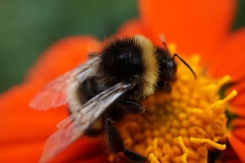 生物多様性の定量化と指標に関するセミナー