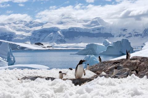 気候変動「適応」の今 - 適応をめぐるCOP26での議論と国際トレンド