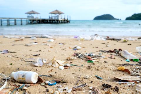 The Public Dialogue on the Application of Behavioural Insights to Reduce Single-use Plastic Wastes in Cities and Communities in Asia