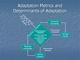 Monitoring Progress of Climate Change Adaptation: The Use of Adaptation Metrics Monitoring Progress of Climate Change Adaptation: The Use of Adaptation Metrics