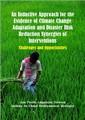 Evidence for climate change adaptation and disaster risk reduction synergies of interventions: An inductive approach