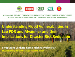 Flood vulnerabilities