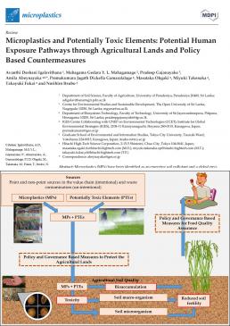Microplastics and Potentially Toxic Elements