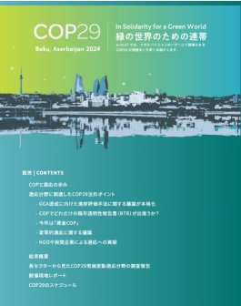 A-PLAT COP29