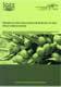 Prospects and Challenges of Biofuels in Asia: Policy Implications Prospects and Challenges of Biofuels in Asia: Policy Implications