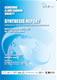 Achieving a Low Carbon Society - Synthesis Report: Inaugural Meeting of the LCS-RNet