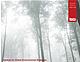 Institute for Global Environmental Strategies FY2010 Annual Report