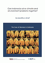 Co-benefits in Brief: The Case of Biomass in Indonesia