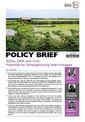 SDGs, DRR and CCA: Potential for Strengthening Inter-linkages